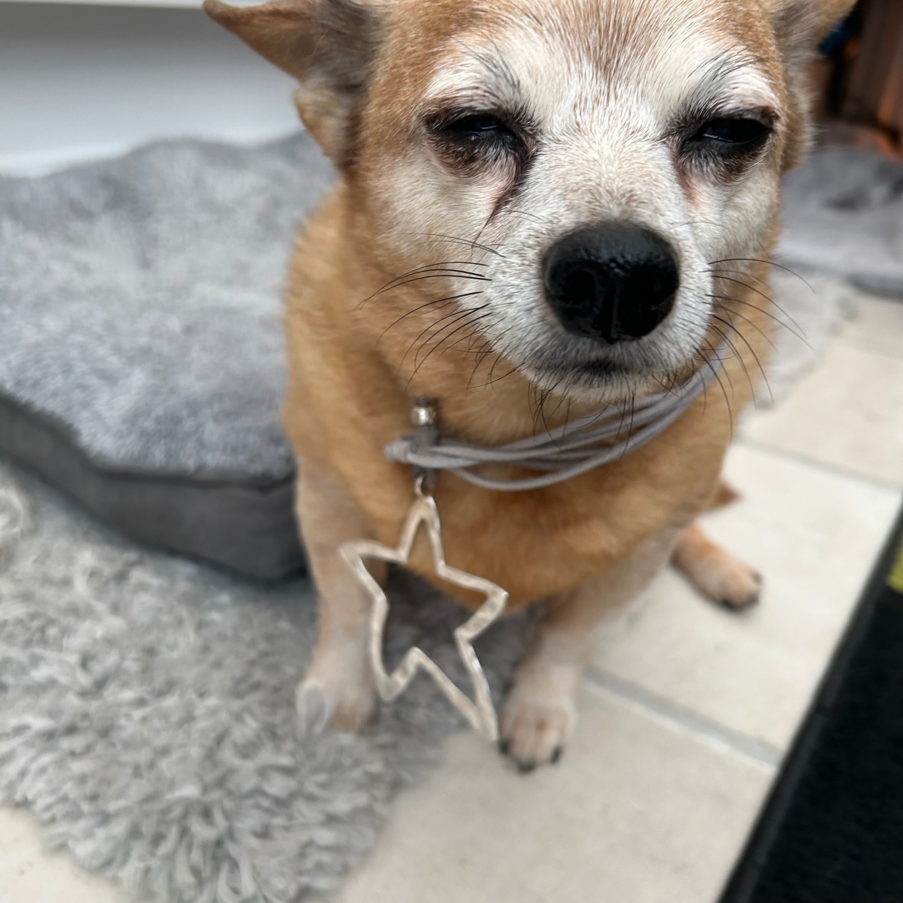 Big star vintage corded necklace